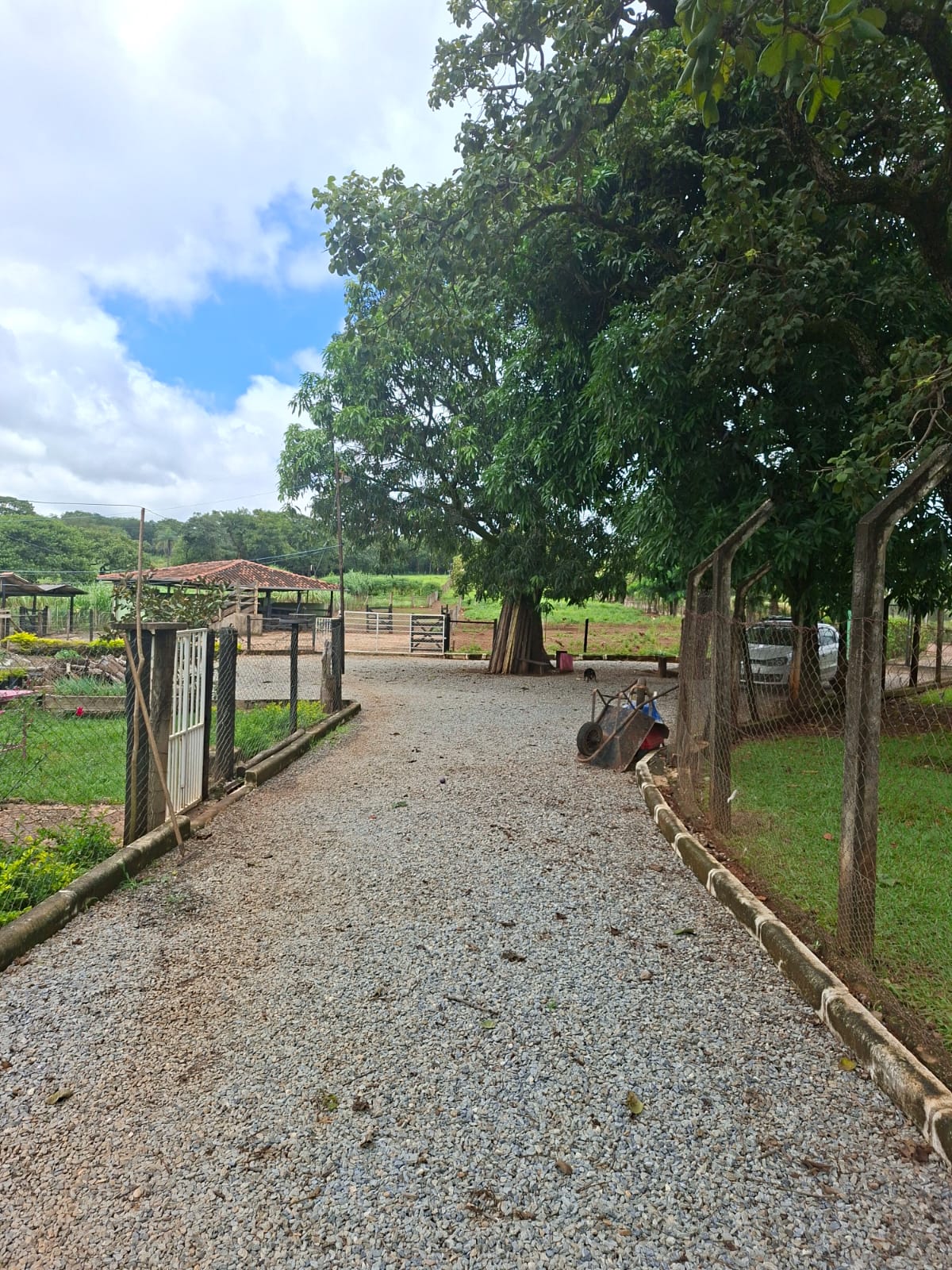 S-31 SITIO 21.000M2 MATOZINHOS MG