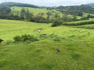 F-27 178HECTARES -PEDRO LEOPOLDO MG