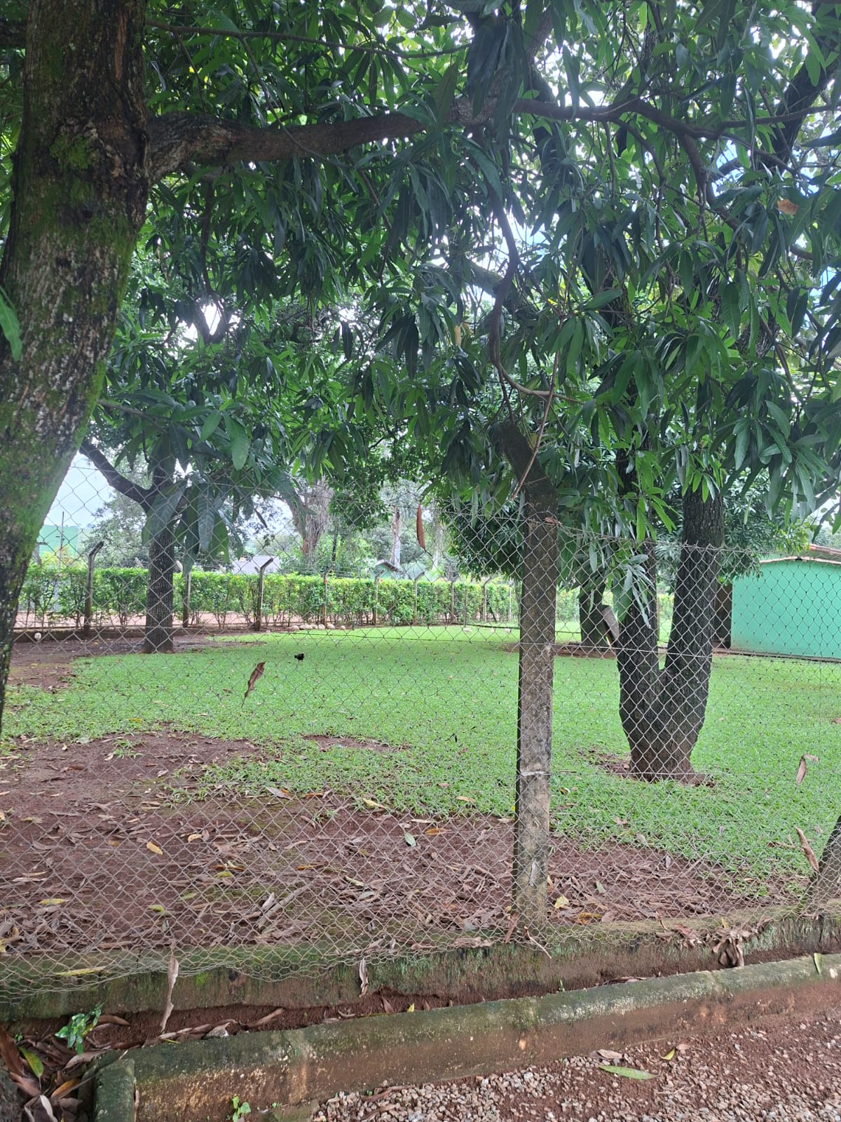 S-31 SITIO 21.000M2 MATOZINHOS MG