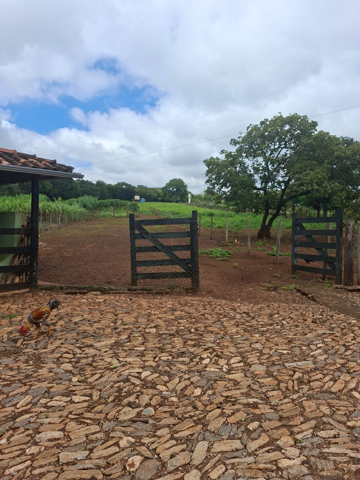 S-31 SITIO 21.000M2 MATOZINHOS MG