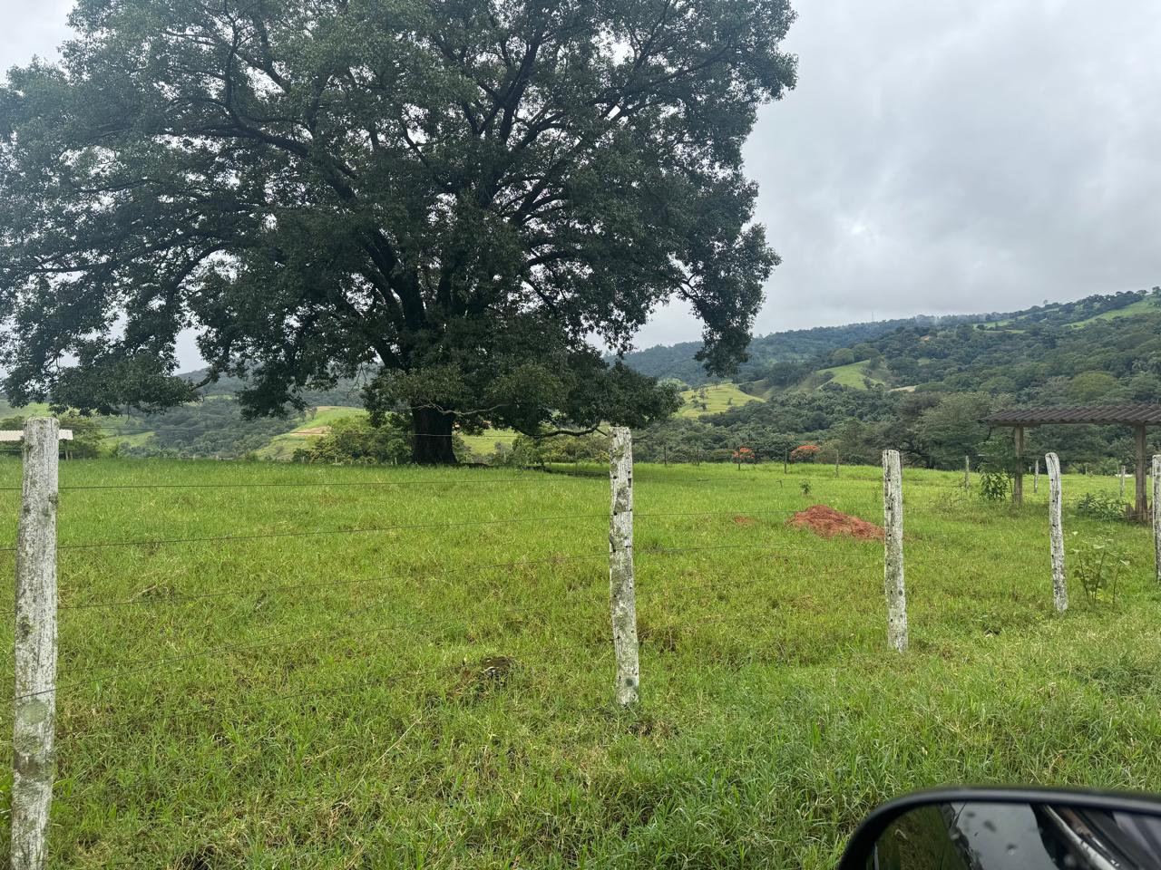 F-27 178HECTARES -PEDRO LEOPOLDO MG