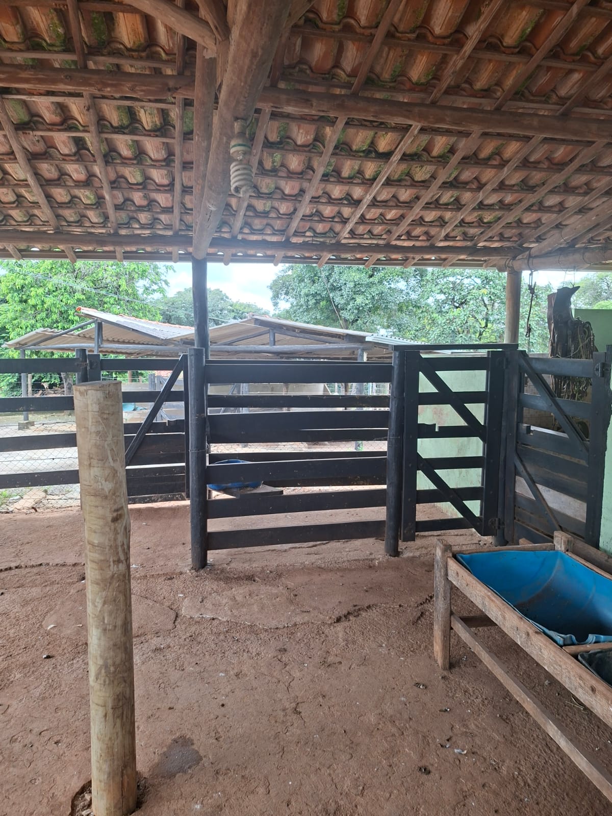 S-31 SITIO 21.000M2 MATOZINHOS MG