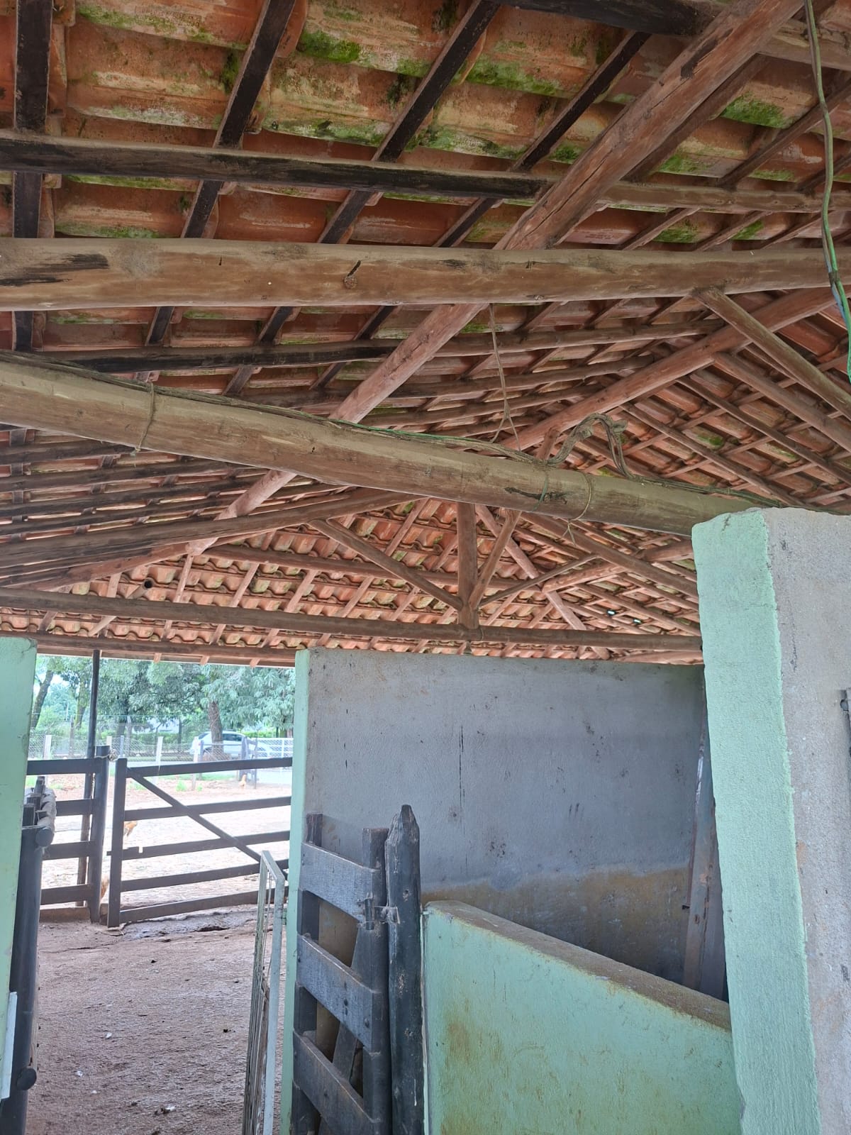 S-31 SITIO 21.000M2 MATOZINHOS MG