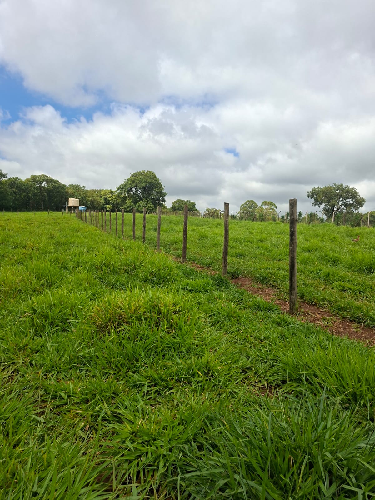 S-31 SITIO 21.000M2 MATOZINHOS MG