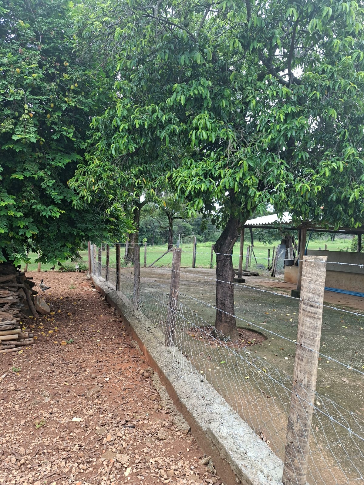 S-31 SITIO 21.000M2 MATOZINHOS MG