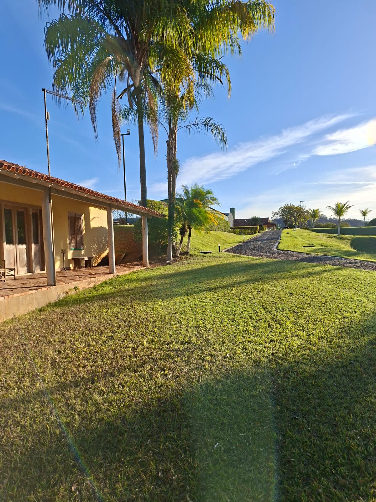 F-133 FAZENDA 84 HECTARES