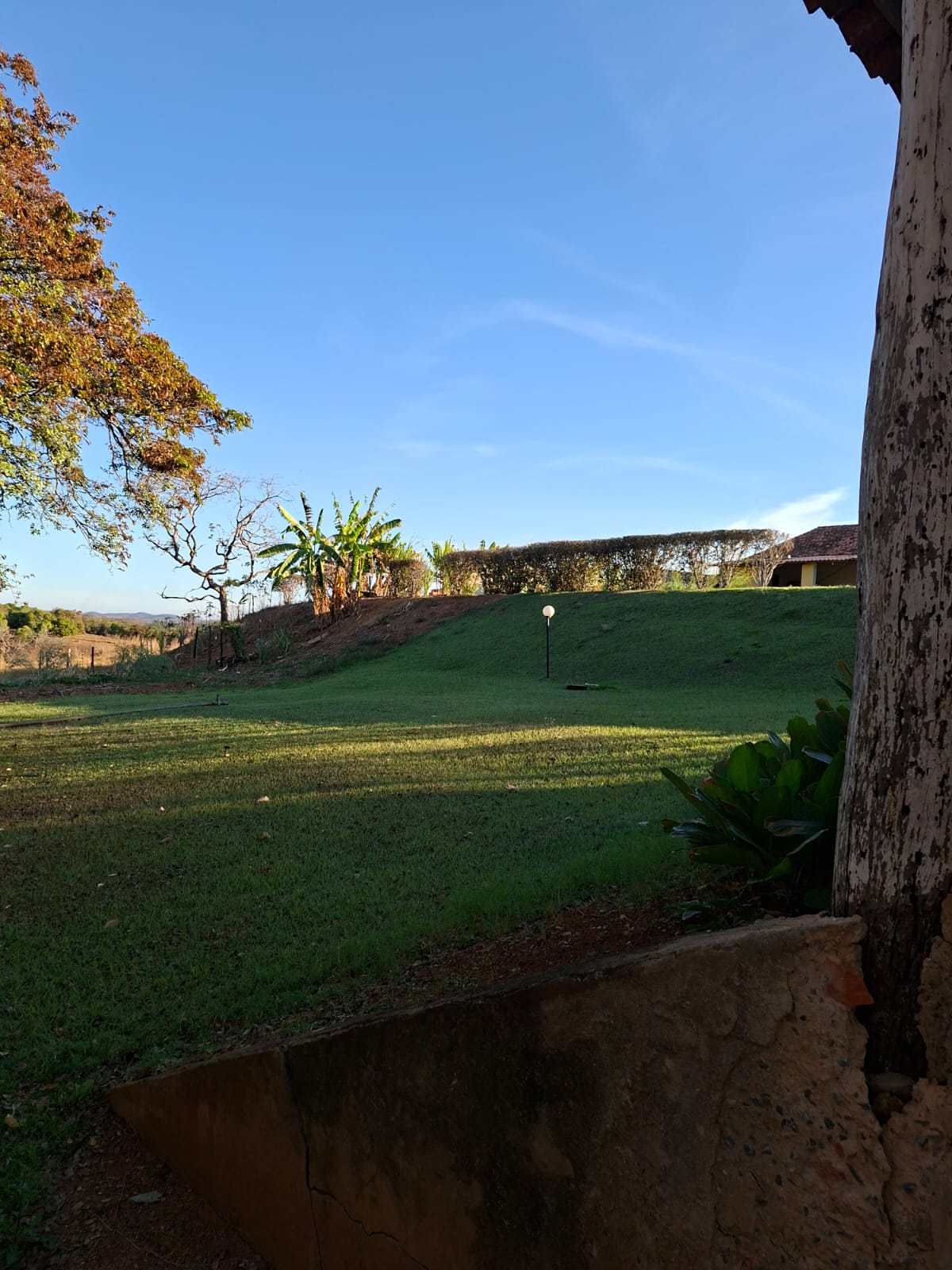 F-133 FAZENDA 84 HECTARES