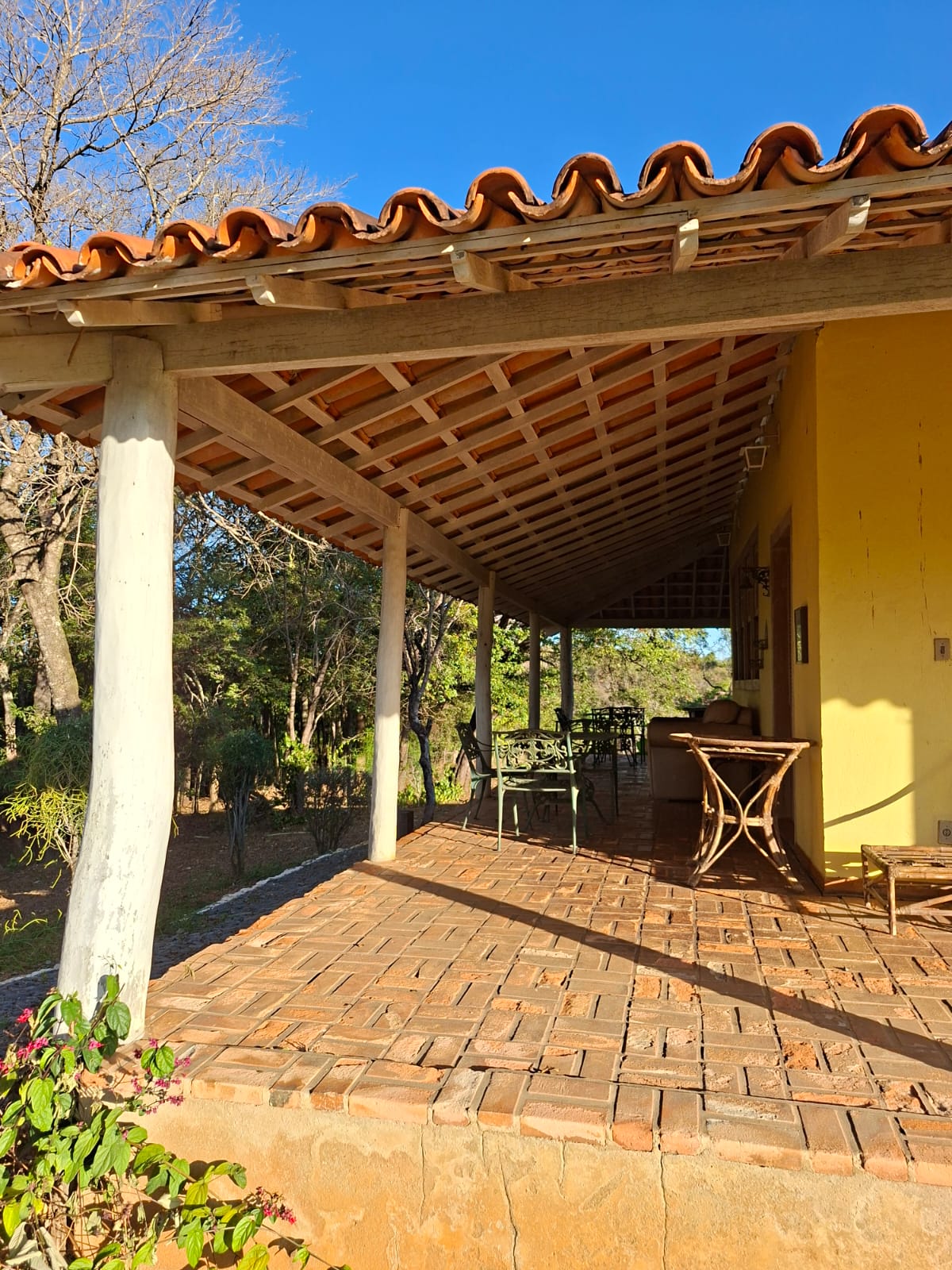 F-133 FAZENDA 84 HECTARES
