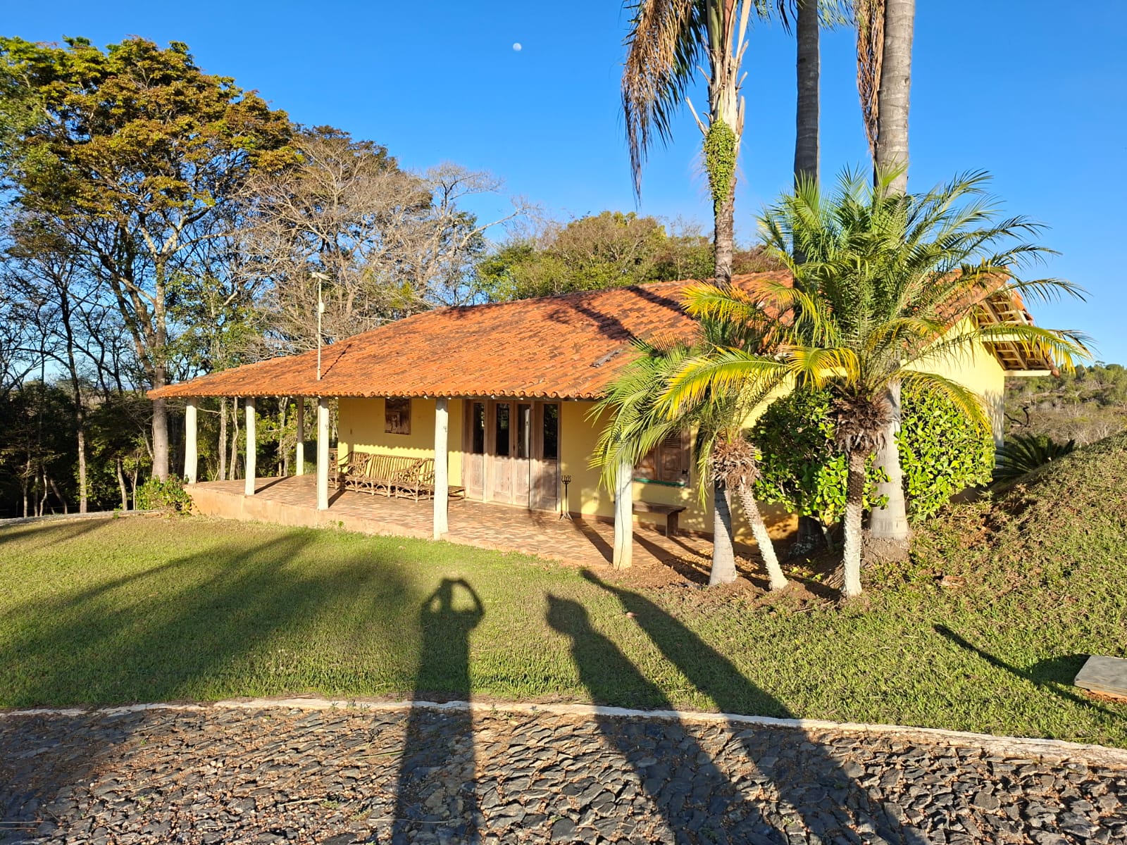 F-133 FAZENDA 84 HECTARES