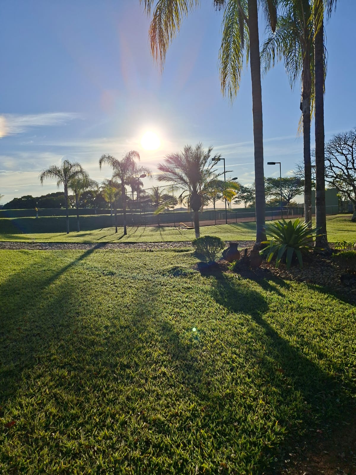 F-133 FAZENDA 84 HECTARES