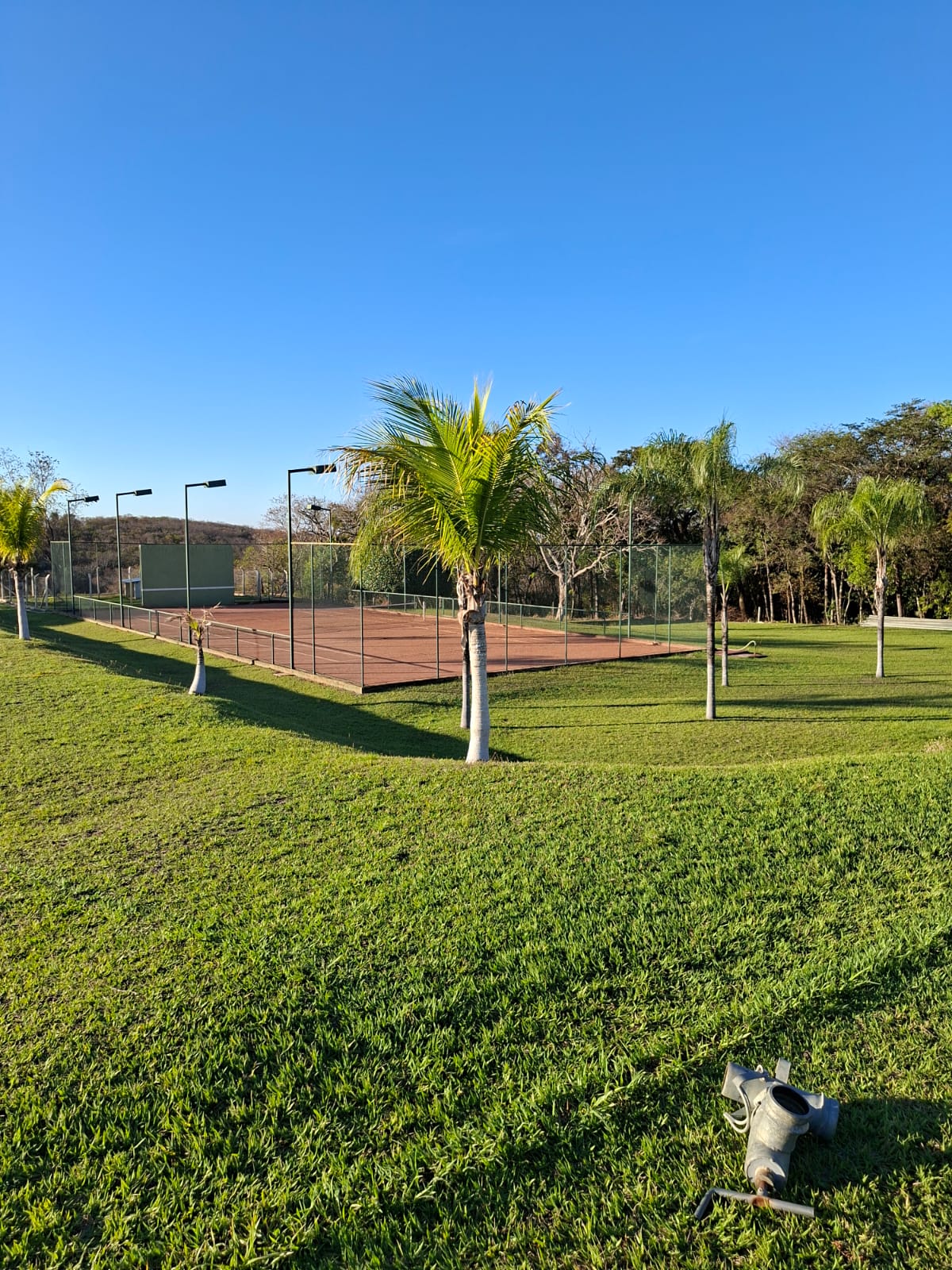 F-133 FAZENDA 84 HECTARES