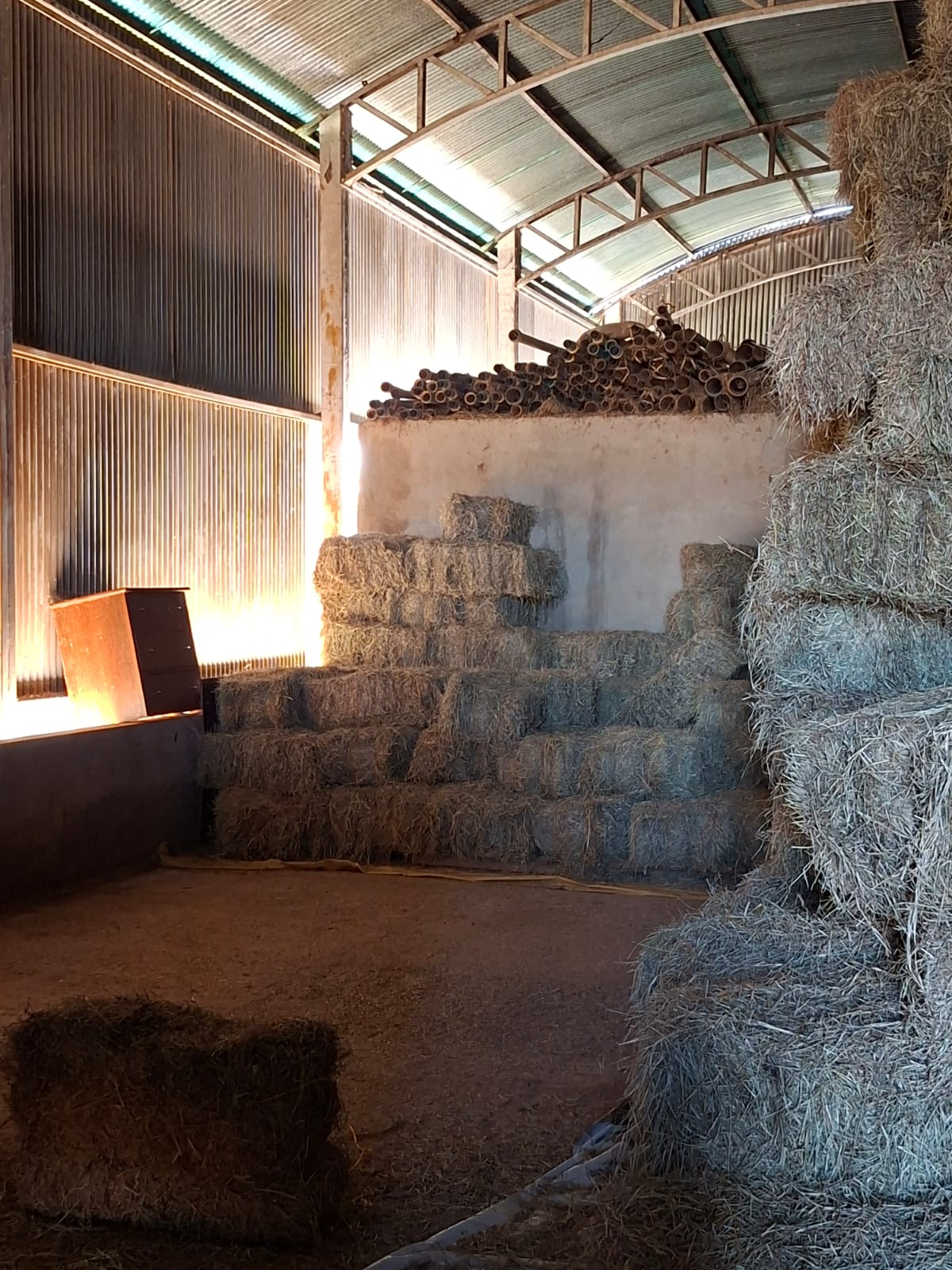 F-133 FAZENDA 84 HECTARES