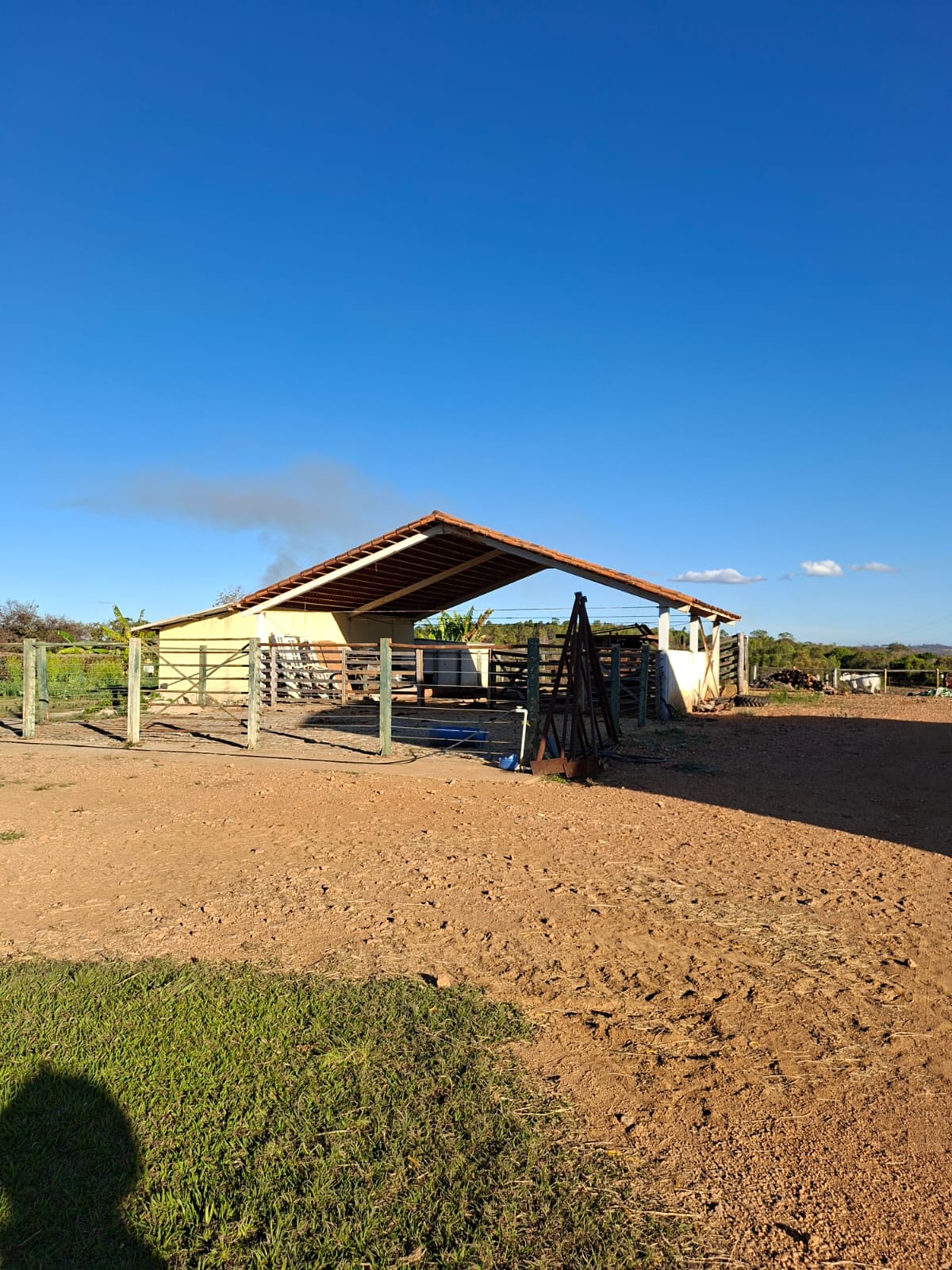F-133 FAZENDA 84 HECTARES