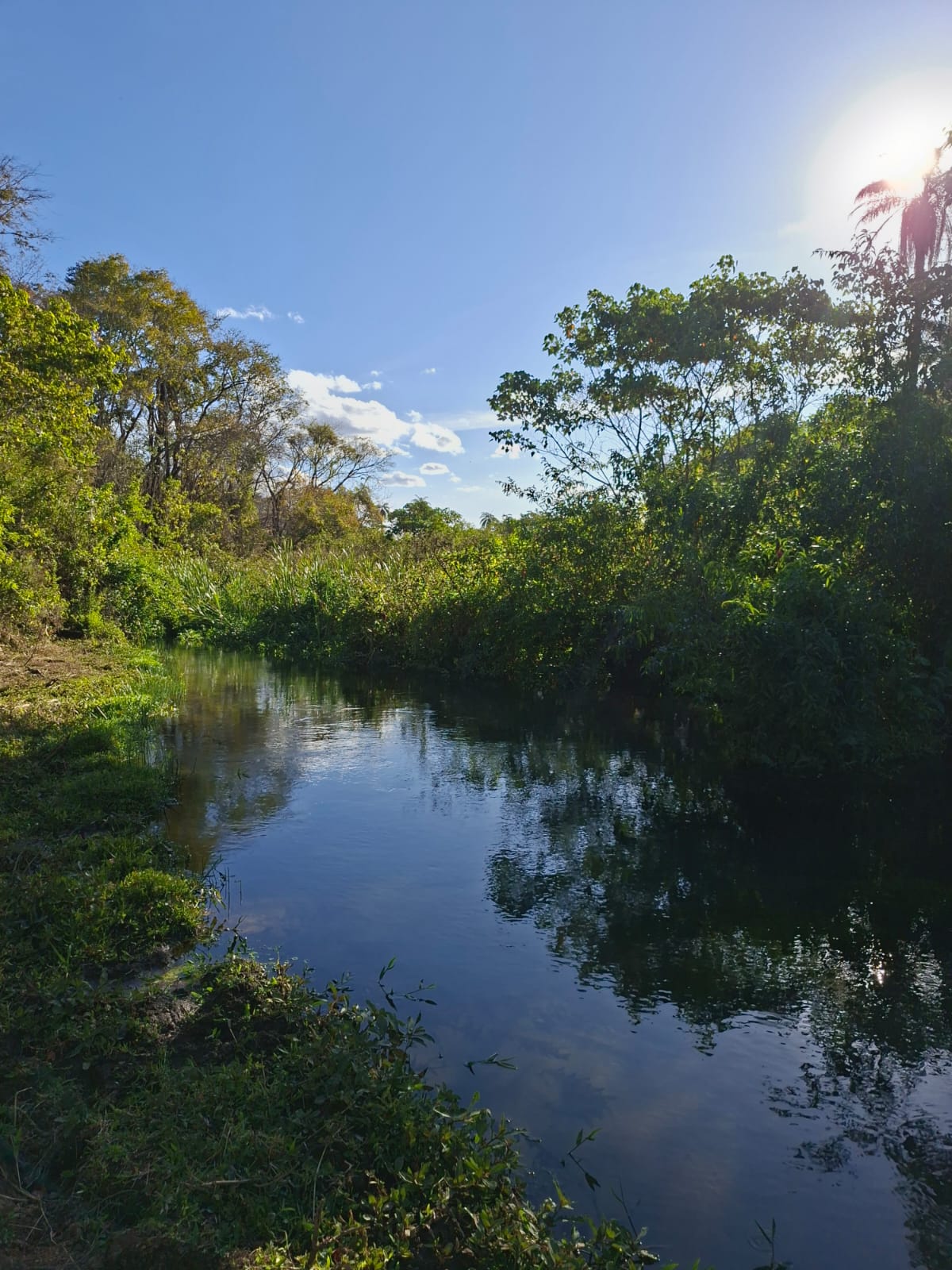 F-133 FAZENDA 84 HECTARES