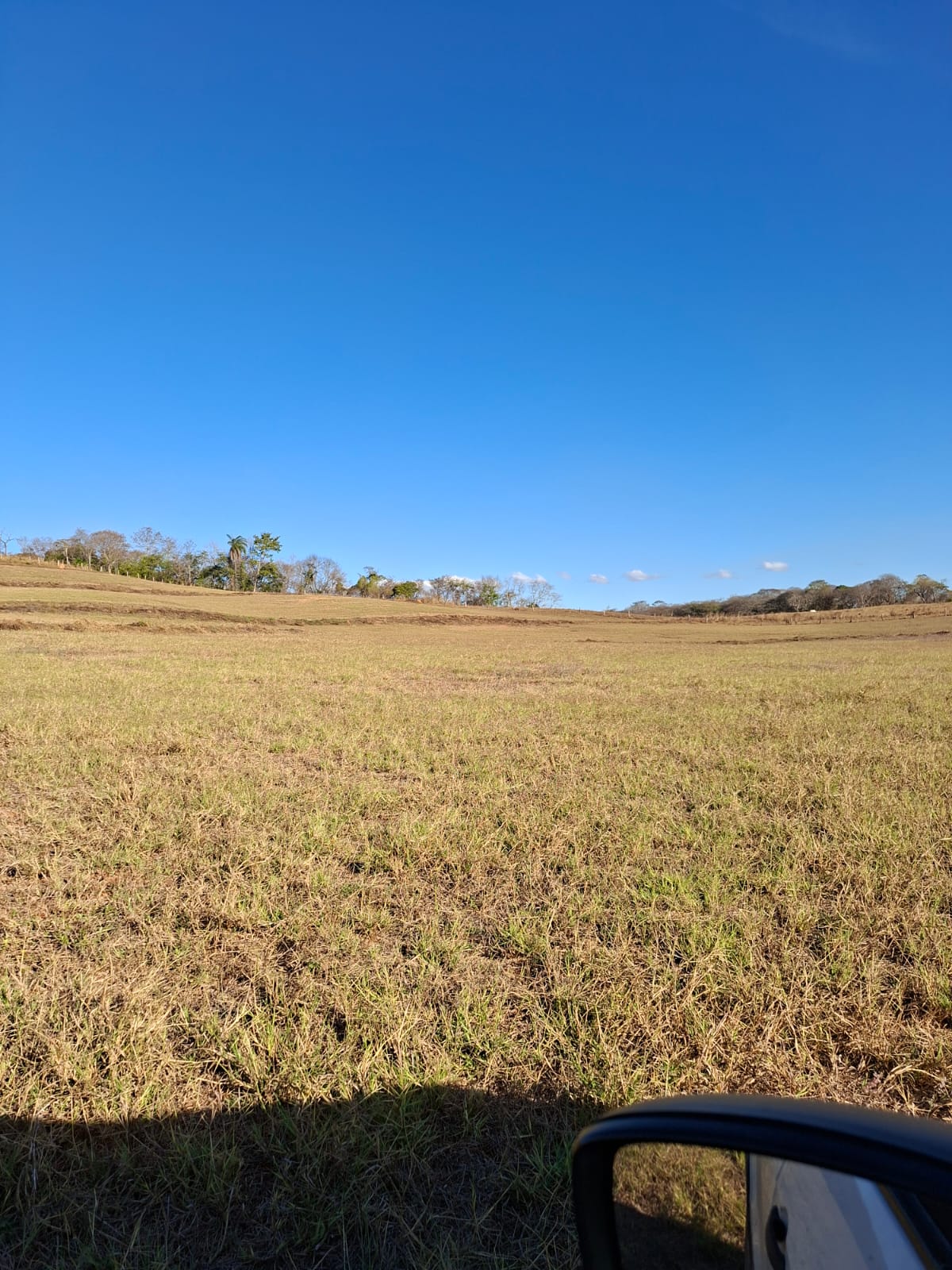 F-133 FAZENDA 84 HECTARES