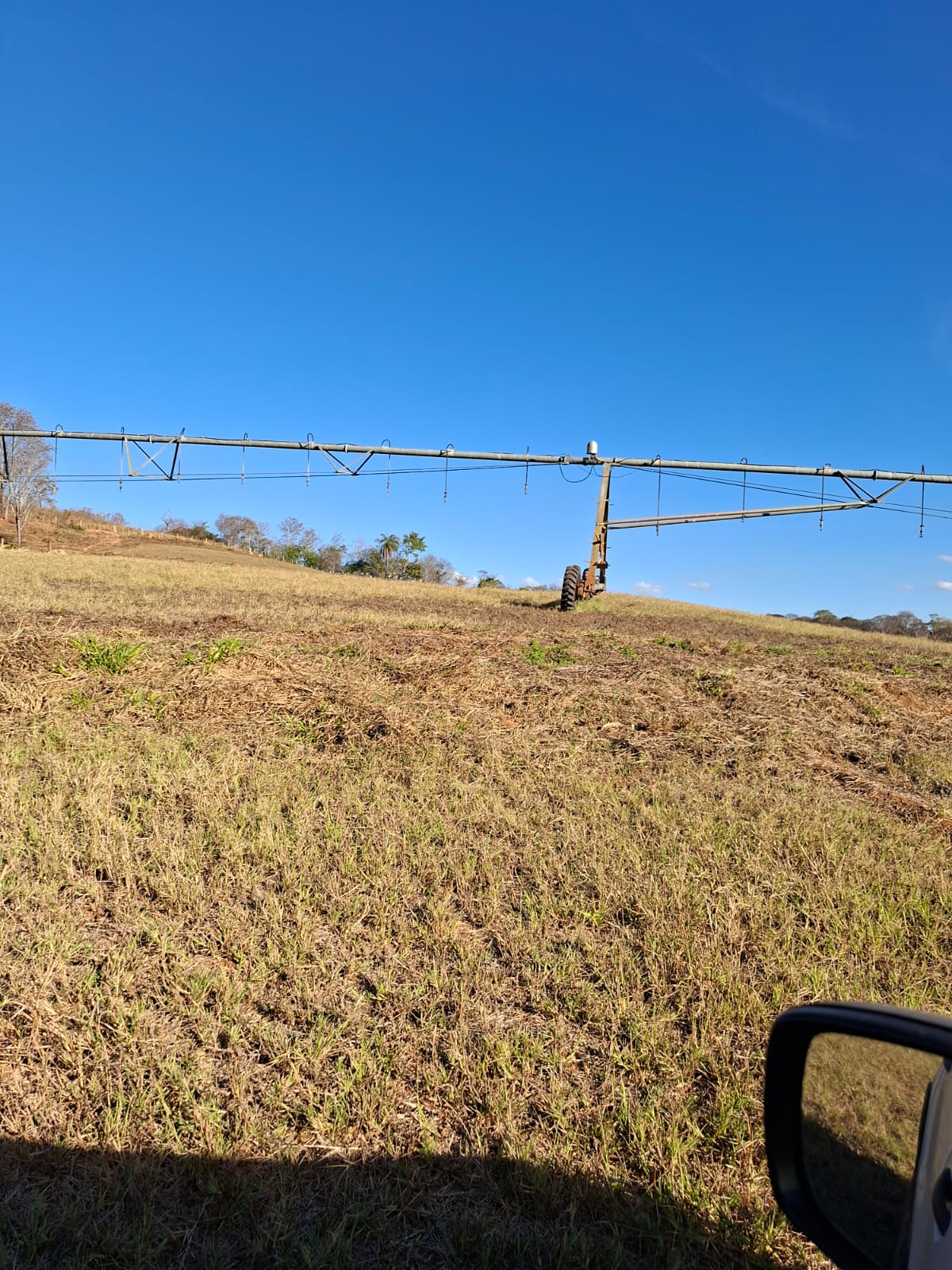 F-133 FAZENDA 84 HECTARES