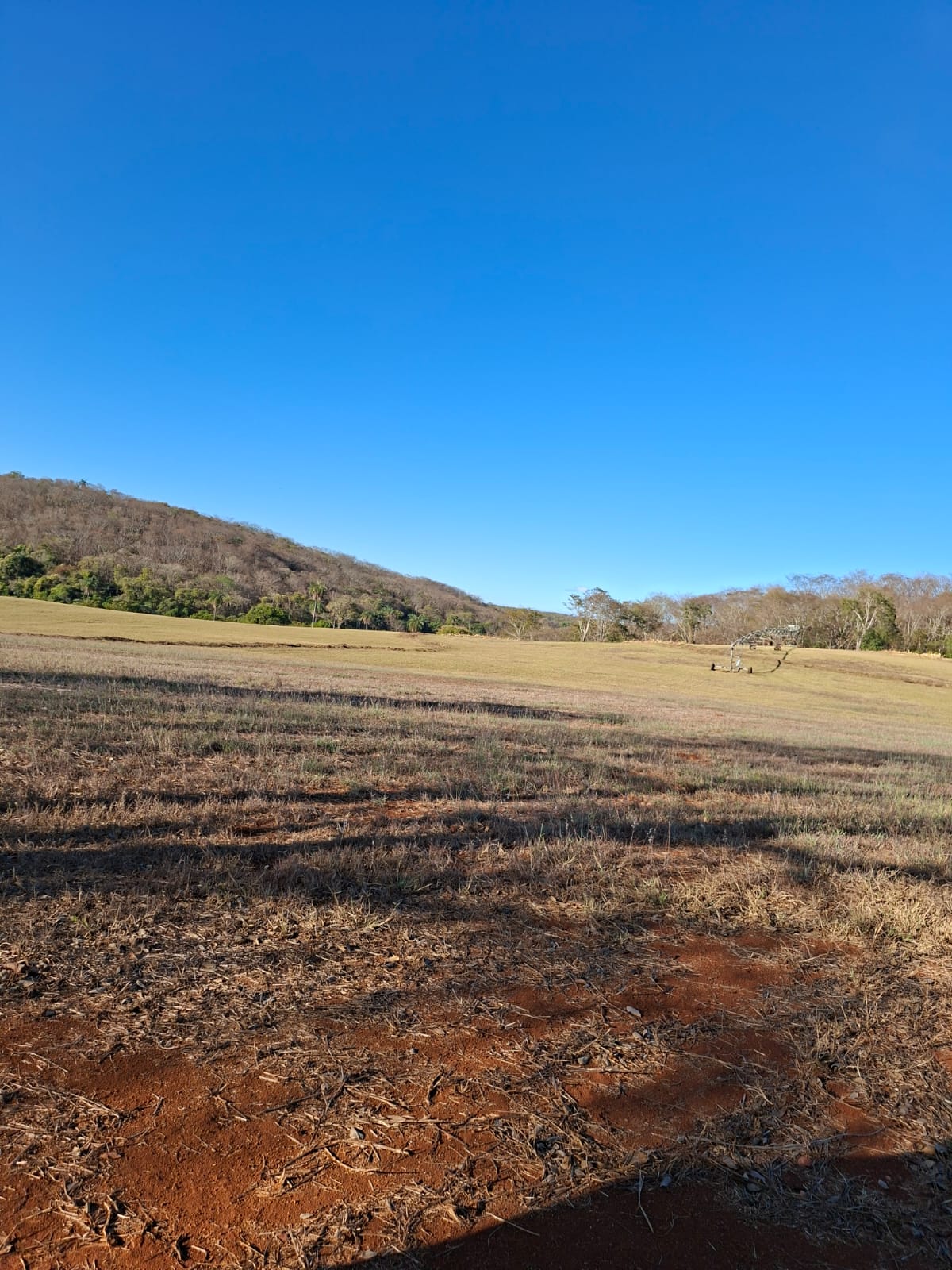 F-133 FAZENDA 84 HECTARES