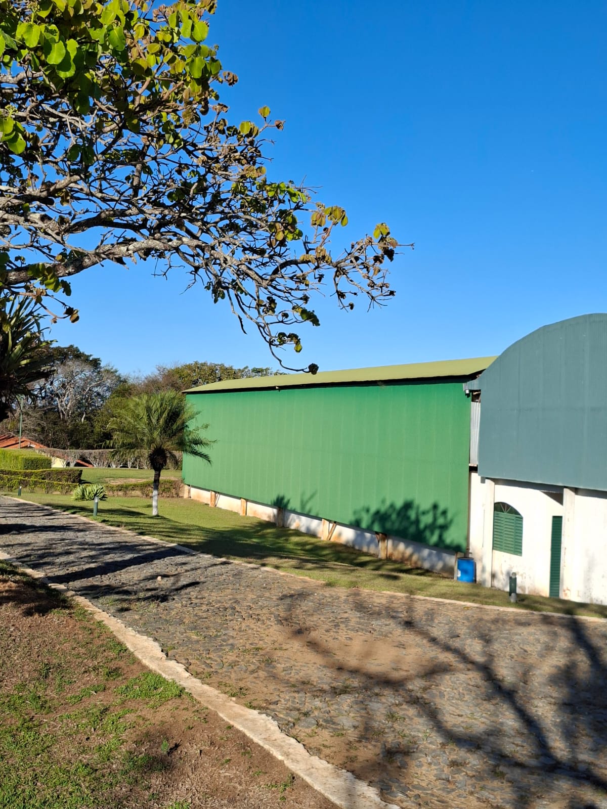 F-133 FAZENDA 84 HECTARES