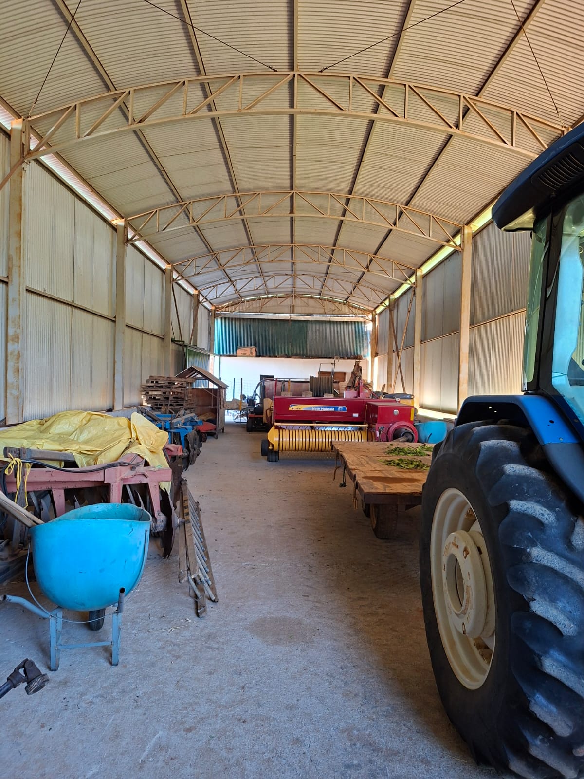 F-133 FAZENDA 84 HECTARES