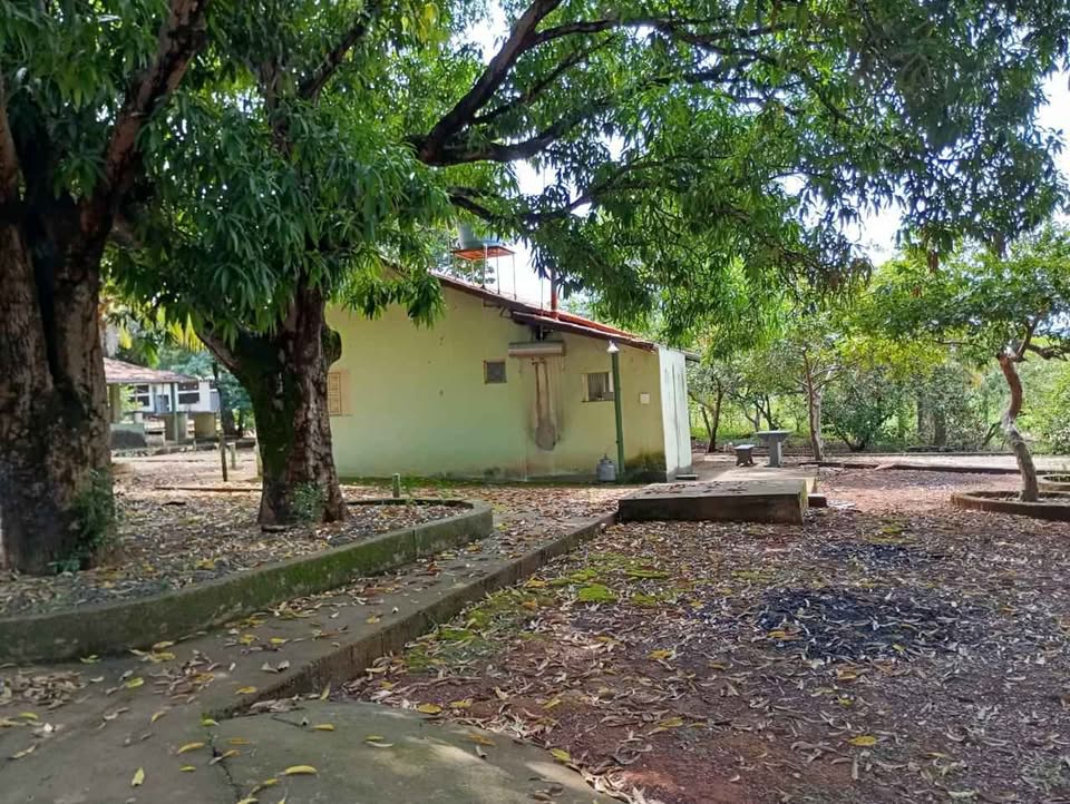 F-130 FAZENDINHA 9,2HA FELIXLANDIA