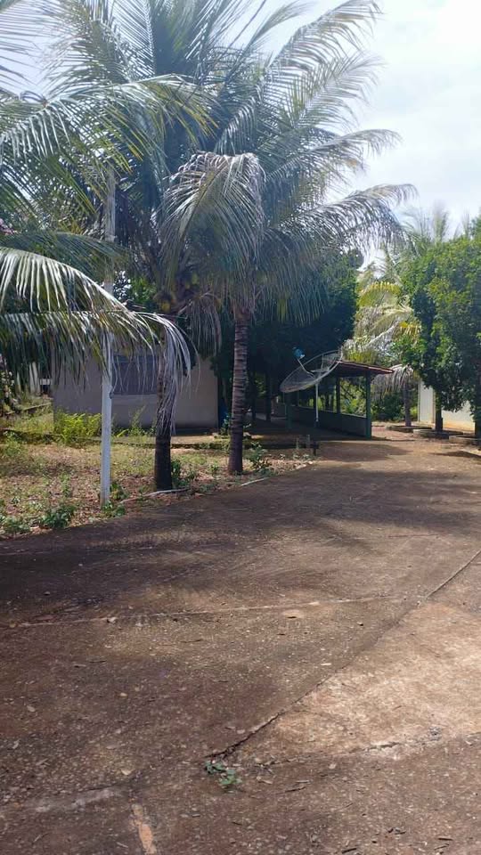 F-130 FAZENDINHA 9,2HA FELIXLANDIA