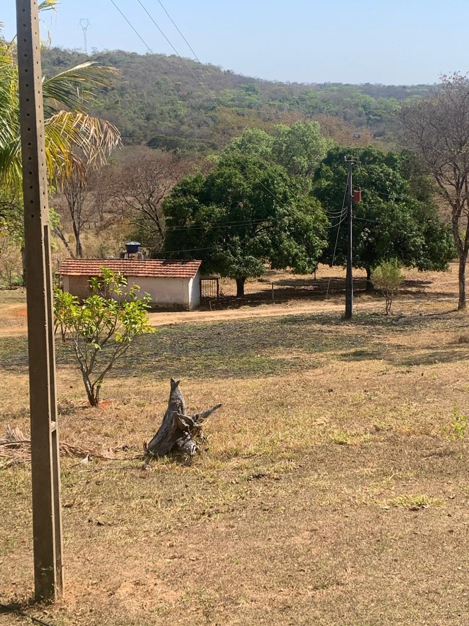 F-129 FAZENDA 50HA ARAÇAI MG