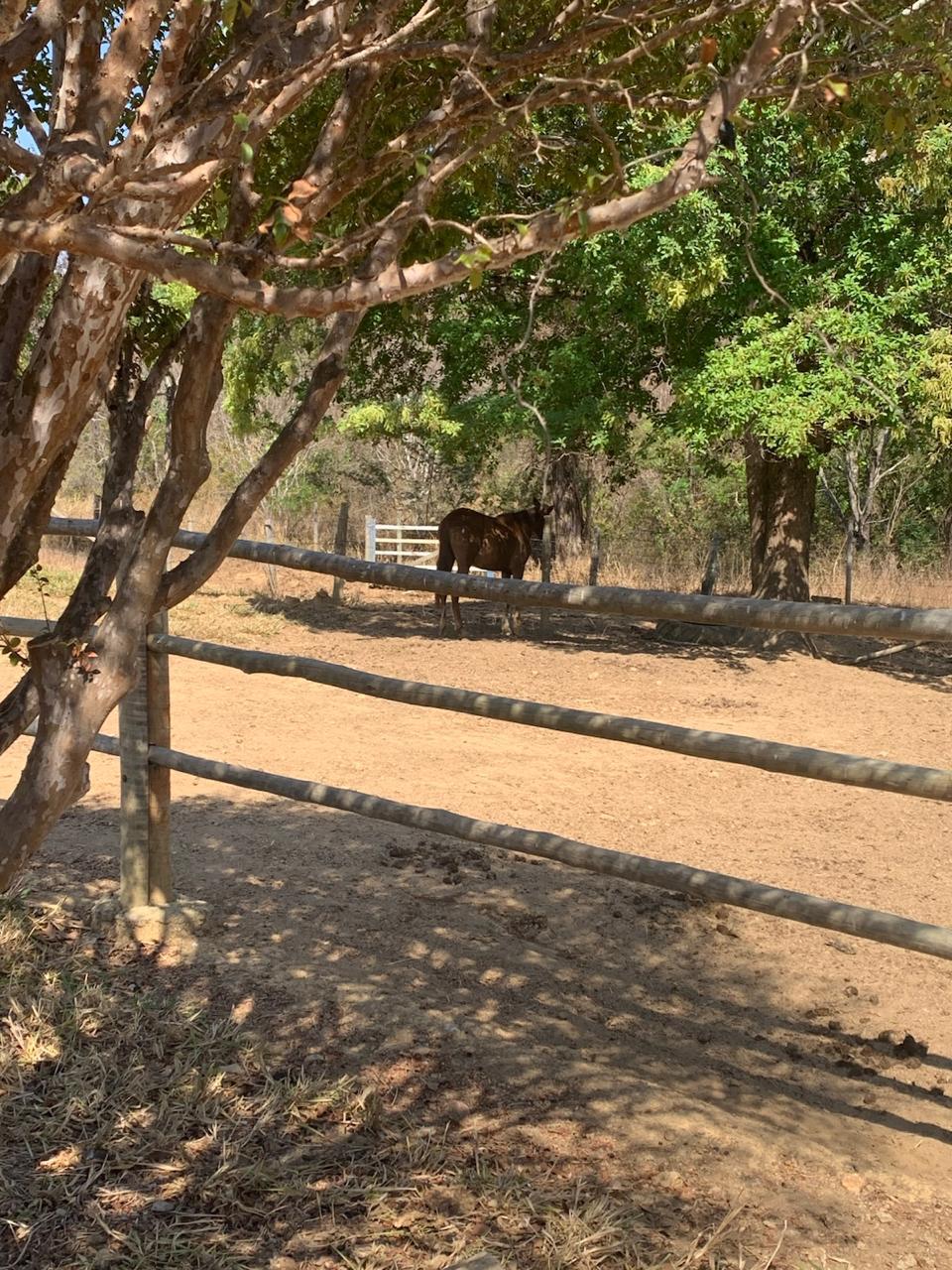 F-125 50HECTARES – ARAÇAI MG