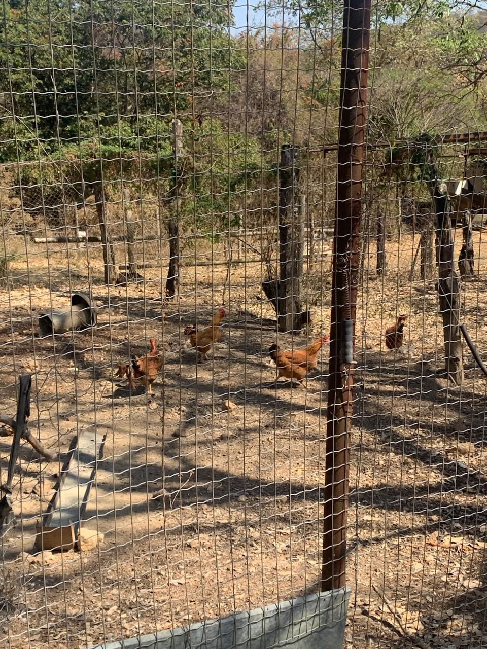 F-125 50HECTARES – ARAÇAI MG