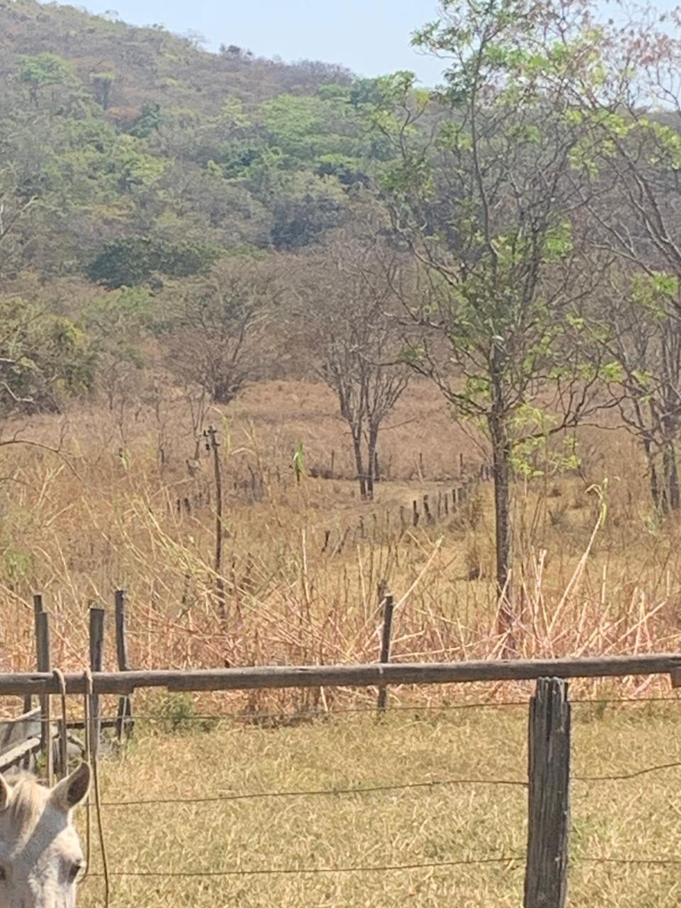 F-129 FAZENDA 50HA ARAÇAI MG