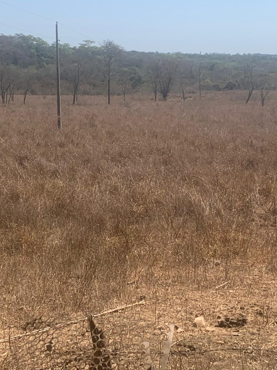 F-129 FAZENDA 50HA ARAÇAI MG