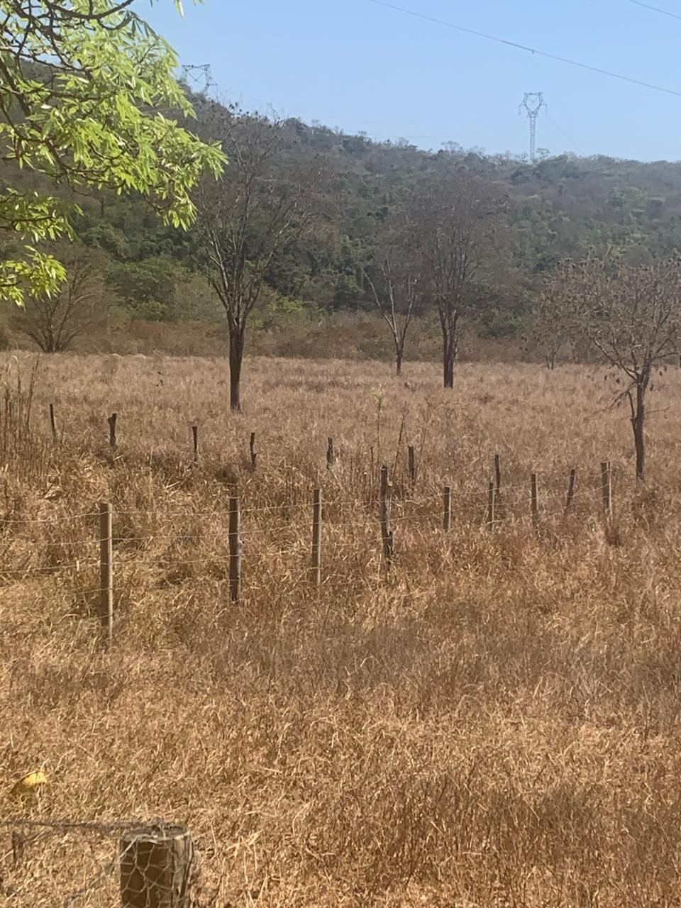 F-129 FAZENDA 50HA ARAÇAI MG