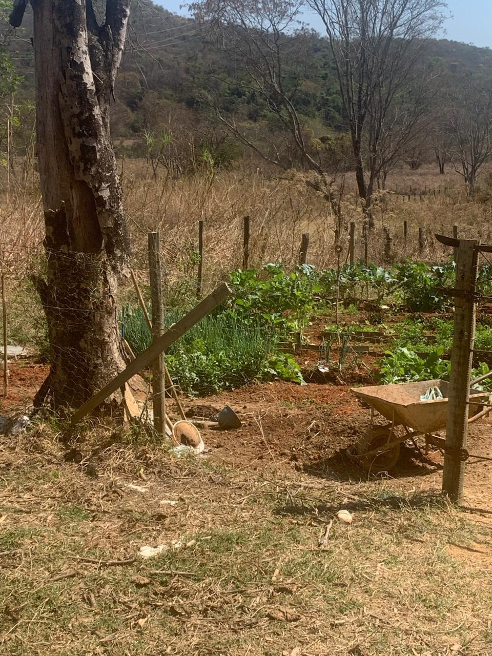 F-125 50HECTARES – ARAÇAI MG