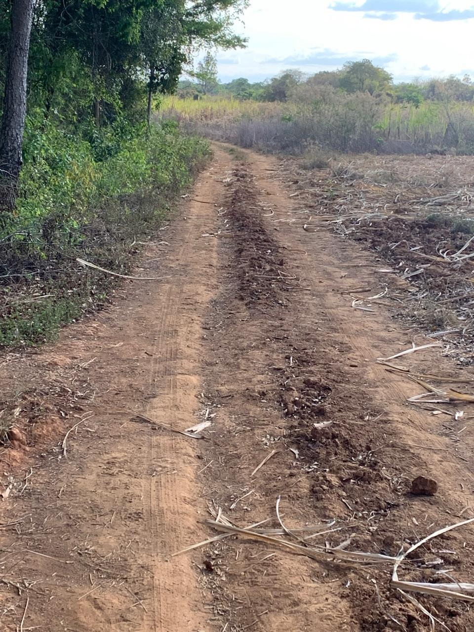 F-129 FAZENDA 50HA ARAÇAI MG
