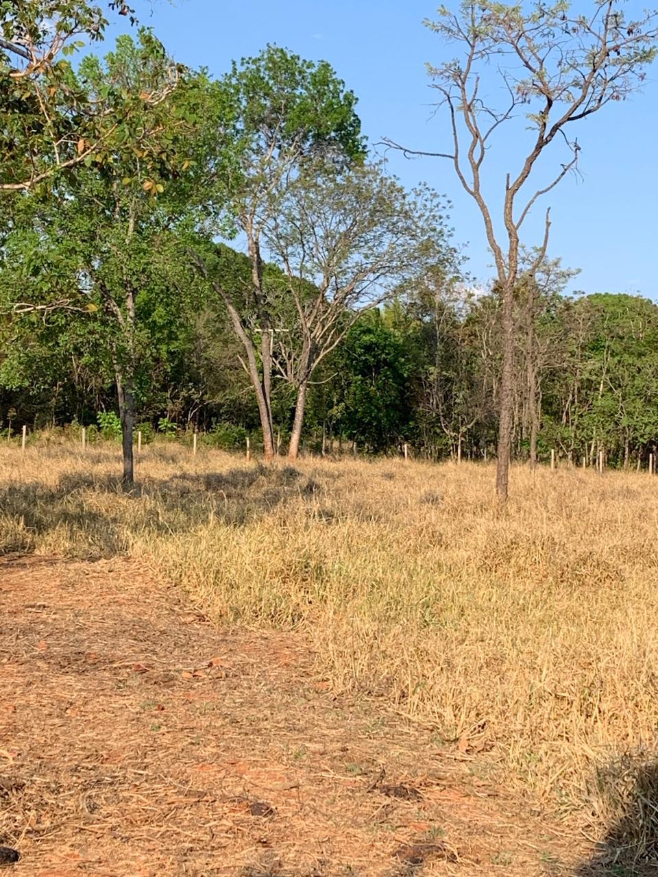 F-129 FAZENDA 50HA ARAÇAI MG
