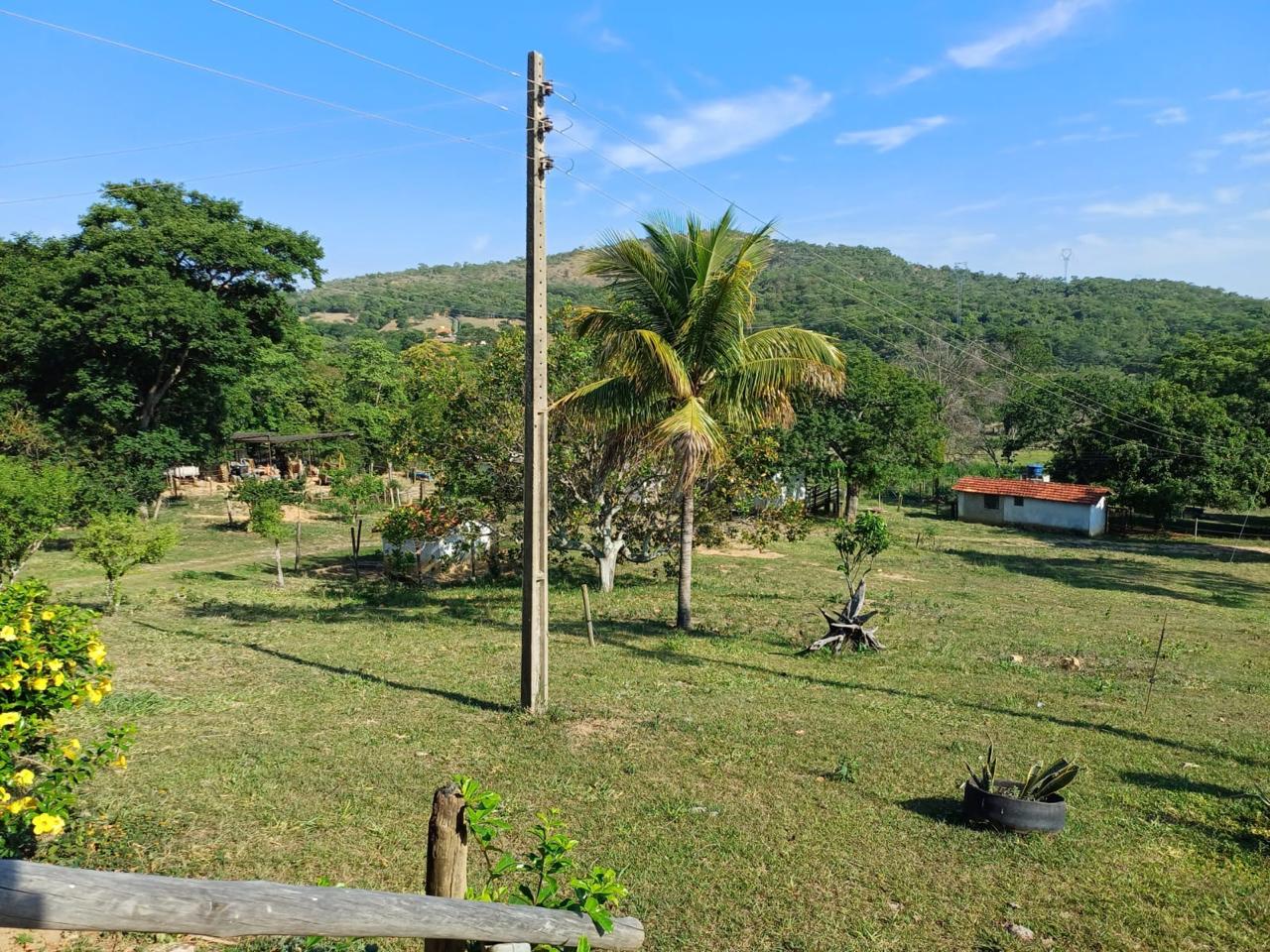 F-129 FAZENDA 50HA ARAÇAI MG