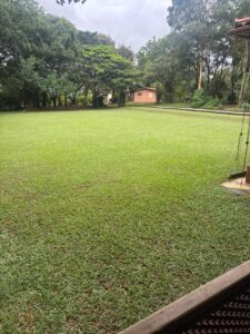 F-130 FAZENDA 23HA PARAOPEBA MG