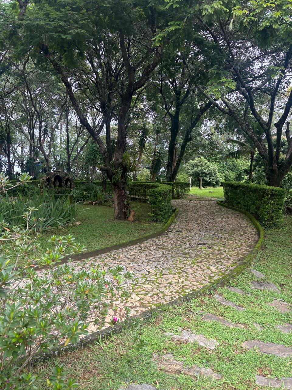 F-130 FAZENDA 23HA PARAOPEBA MG