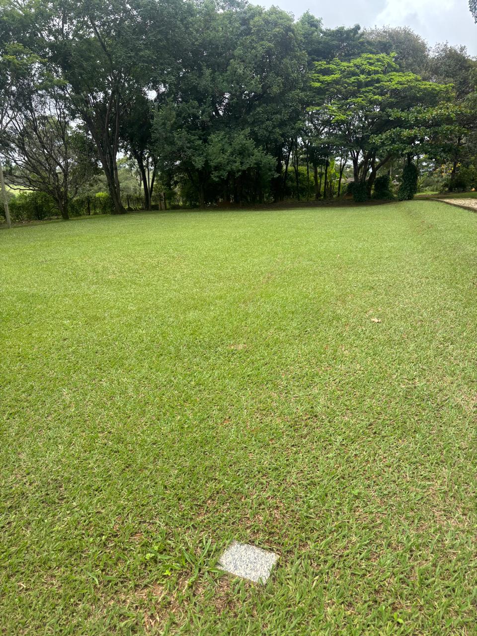 F-130 FAZENDA 23HA PARAOPEBA MG