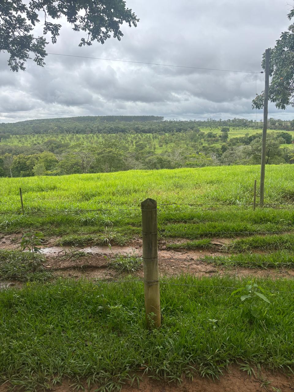 F-130 FAZENDA 23HA PARAOPEBA MG
