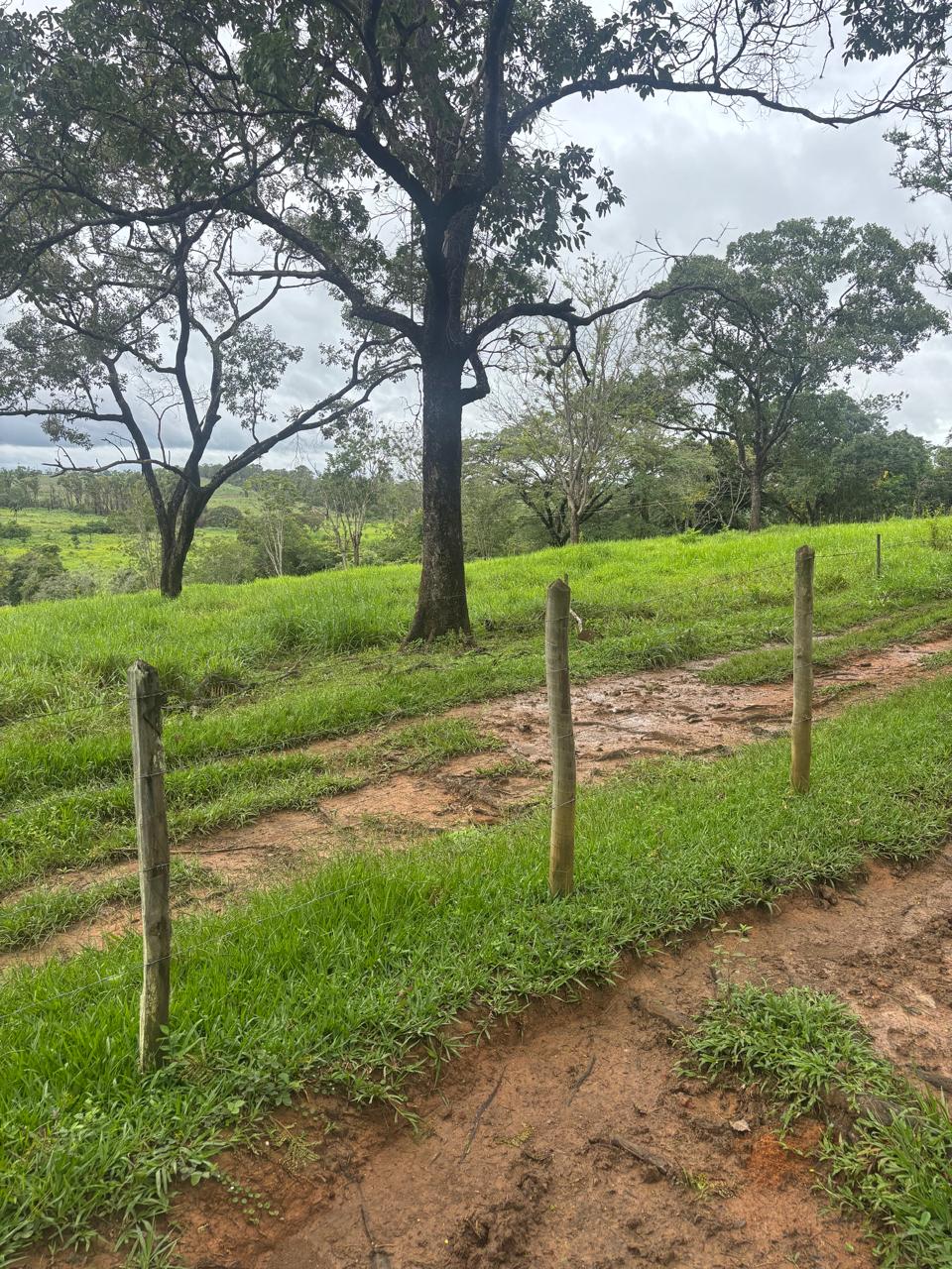 F-130 FAZENDA 23HA PARAOPEBA MG