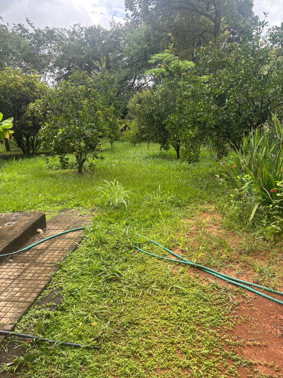 F-130 FAZENDA 23HA PARAOPEBA MG
