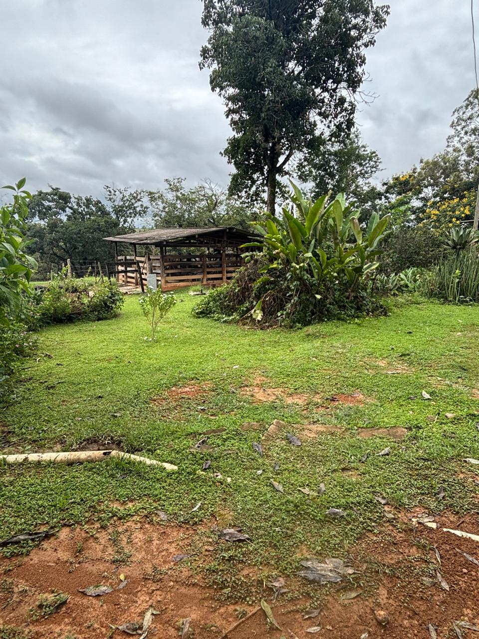 F-130 FAZENDA 23HA PARAOPEBA MG