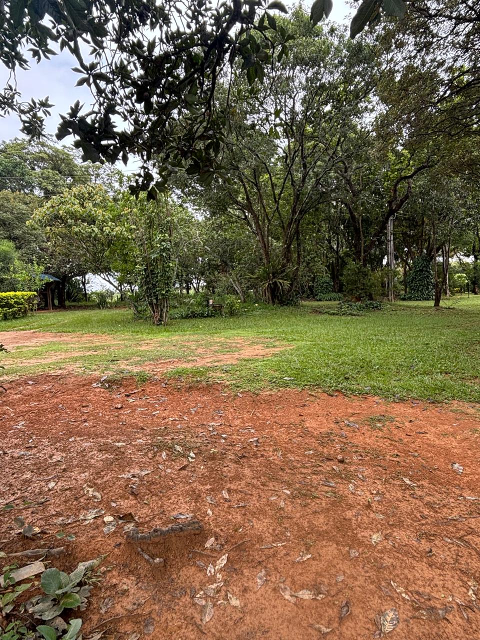 F-130 FAZENDA 23HA PARAOPEBA MG