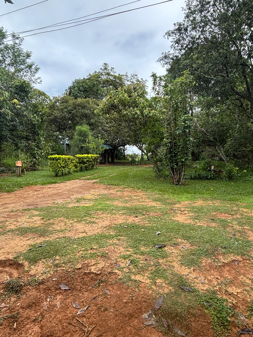 F-130 FAZENDA 23HA PARAOPEBA MG