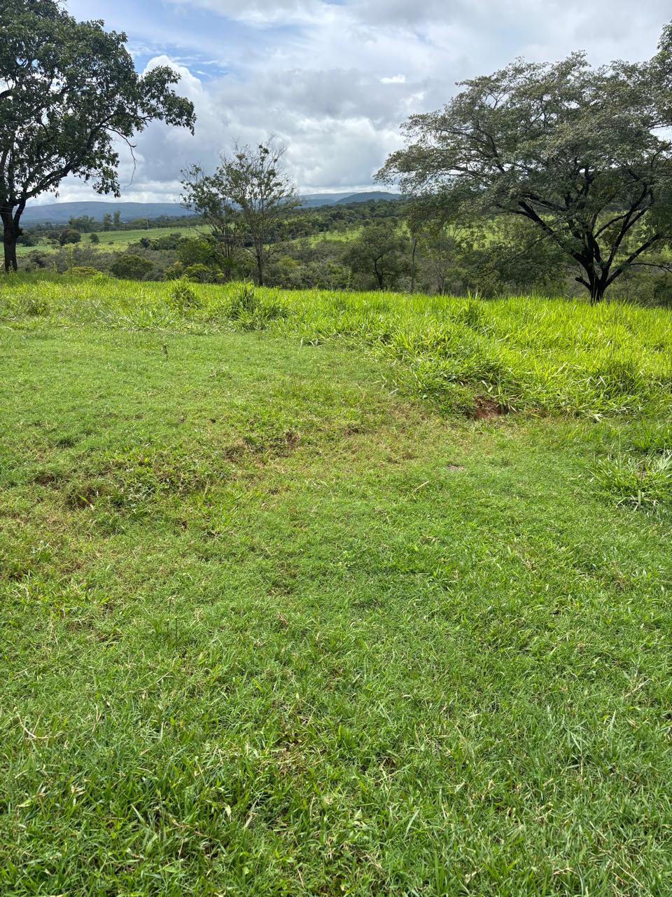 F-130 FAZENDA 23HA PARAOPEBA MG