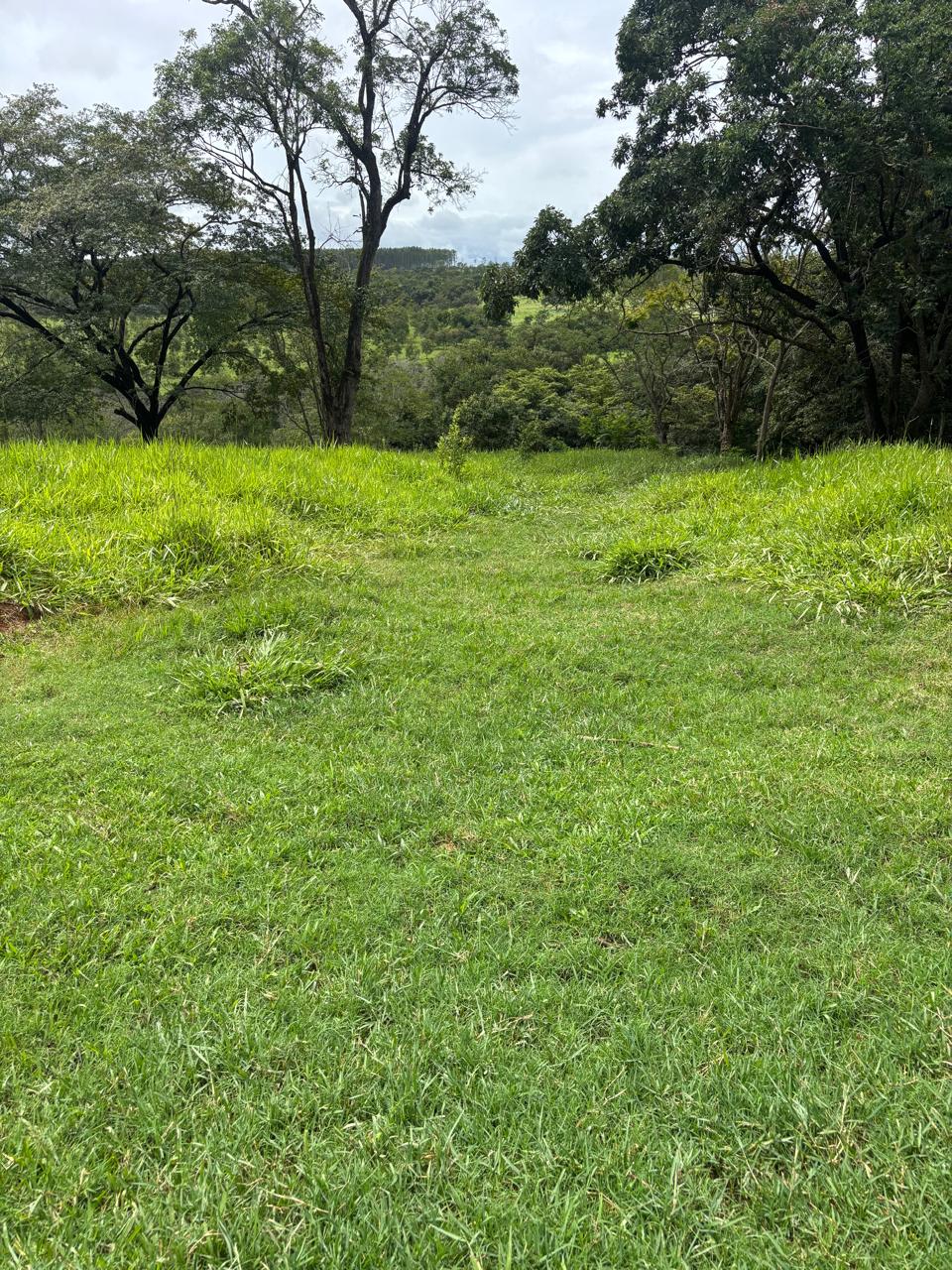 F-130 FAZENDA 23HA PARAOPEBA MG