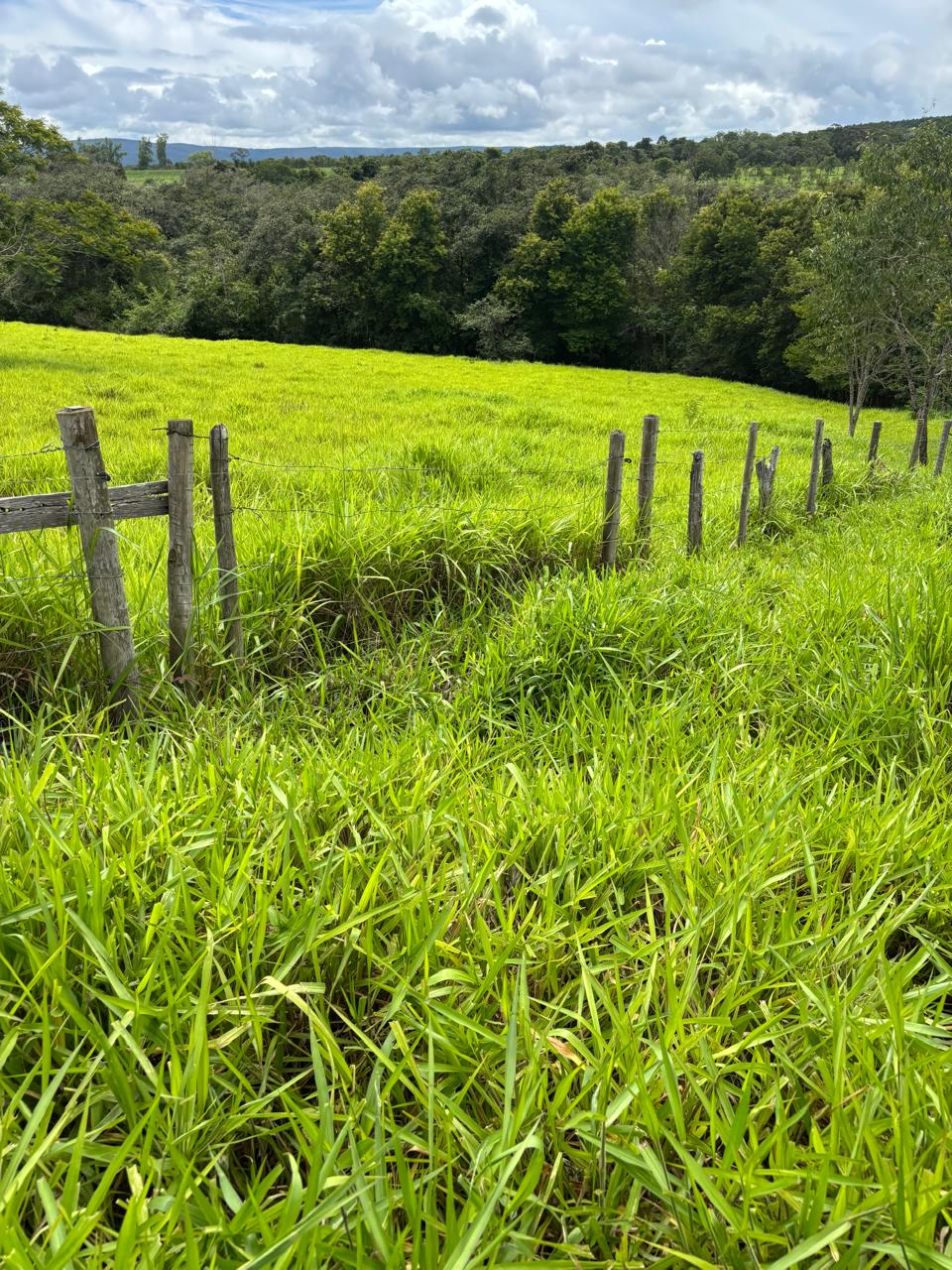 F-130 FAZENDA 23HA PARAOPEBA MG
