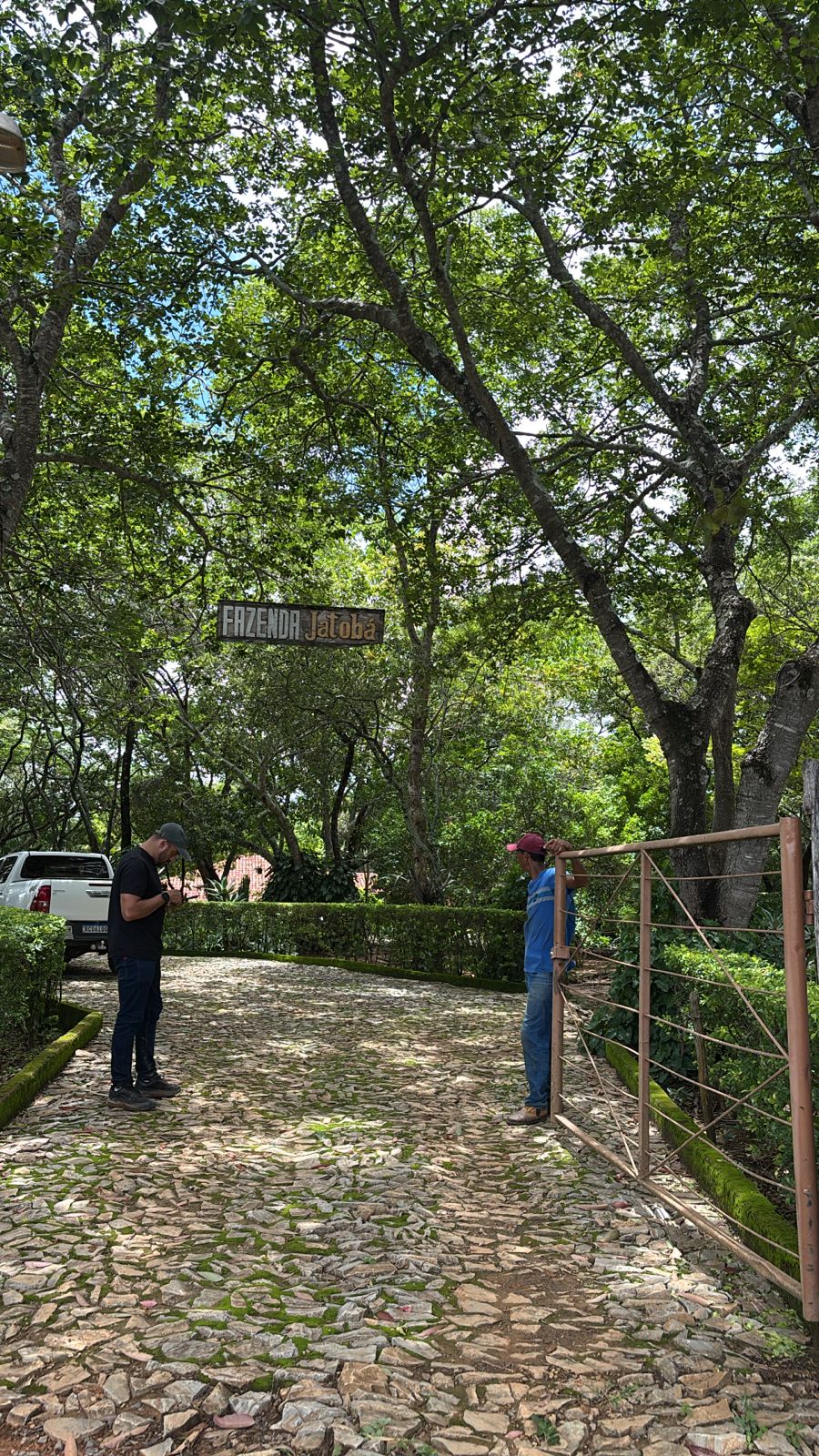 F-130 FAZENDA 23HA PARAOPEBA MG