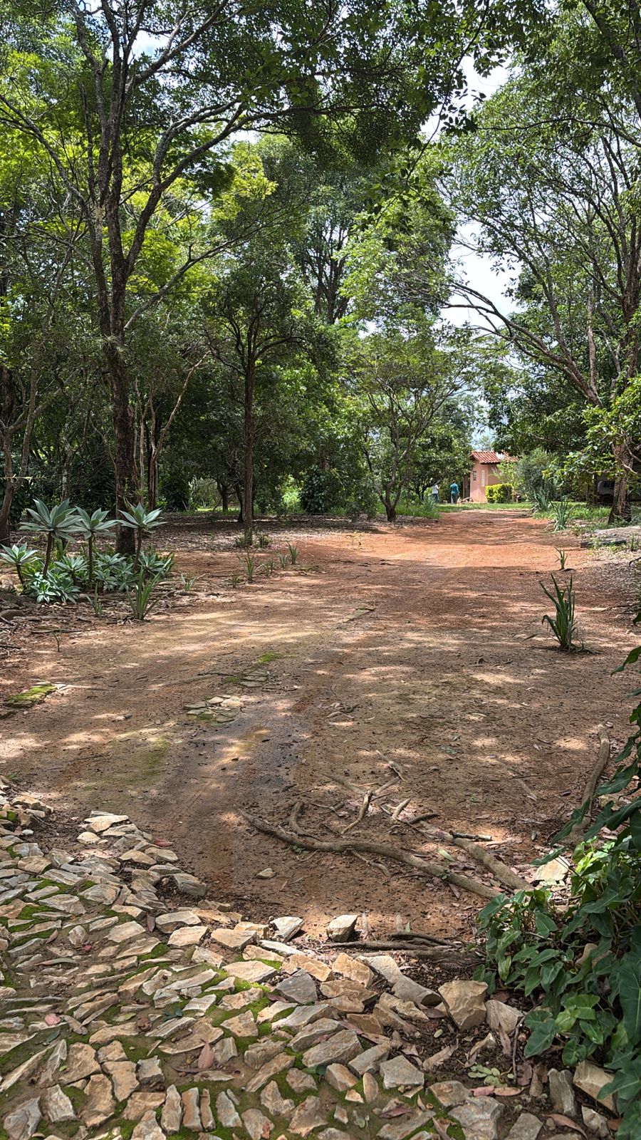 F-130 FAZENDA 23HA PARAOPEBA MG