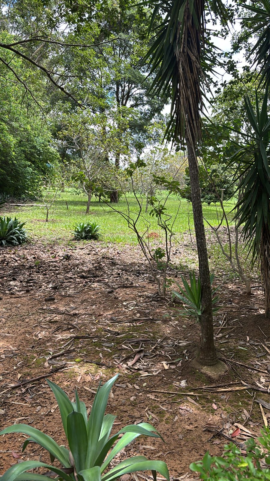 F-130 FAZENDA 23HA PARAOPEBA MG